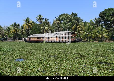 Kerala backwaters. Houseboats dans le marigot des canaux dans le Kerala, Inde Banque D'Images