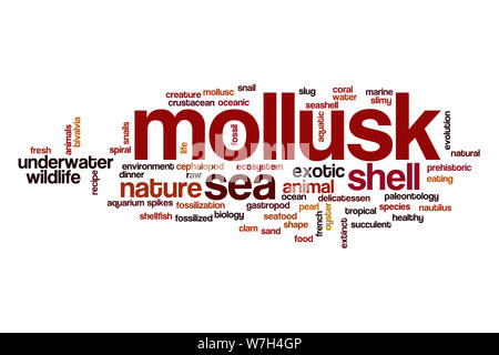 Nuage de mots de mollusques Banque D'Images