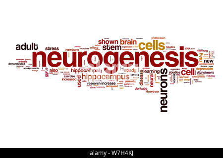 La neurogenèse nuage de mots Banque D'Images