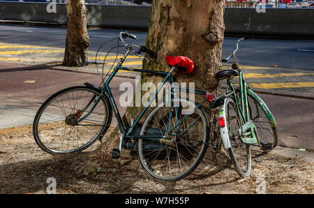 Rotterdam, Pays-Bas. Le 27 juin 2019. Prêt de vélos s'appuya sur un tronc d'arbre, des trottoirs dans le centre-ville Banque D'Images