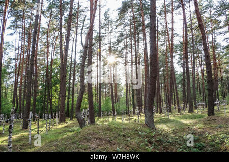 Hui Stargard Szczecinski d'origine, la Pologne. 3rd, 2019 Août Birch croise à la cimetière où la mort et la mort dans le camp de la Russie soviétique, les soldats sont enterrés sont vus dans la charge, Hui Stargard Szczecinski Pologne le 3 août 2019 le Stalag II-D était un Allemand DE LA SECONDE GUERRE MONDIALE prisonnier de guerre camp situé à Gross Born a été créé pour regrouper les officiers français de la bataille de France, plus tard, des soldats polonais et soviétiques. Dans Ja. 1945, il y avait 5 014 officiers et 377 garçons dans le camp. © Vadim Pacajev / Alamy Live News Banque D'Images