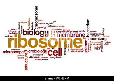 Mot ribosome concept cloud Banque D'Images