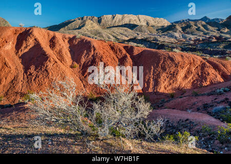 De maquis sec, des formations rocheuses, des collines sans nom, vue depuis le Northshore Road, Lake Mead National Recreation Area, Nevada, USA Banque D'Images