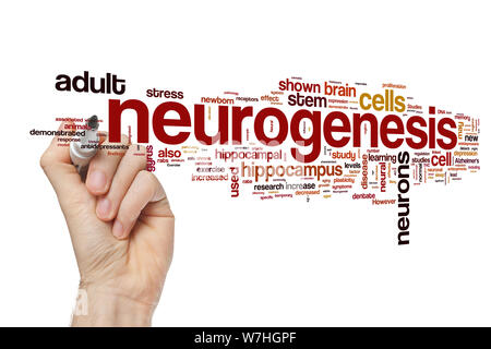 La neurogenèse nuage de mots Banque D'Images