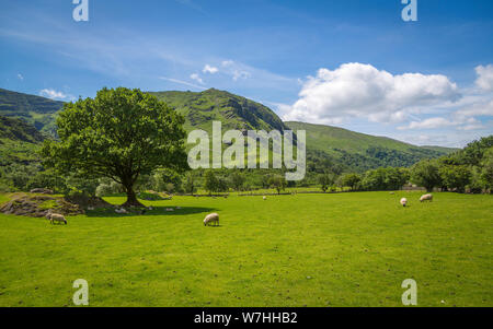 Zone de loisirs local dans le parc Gleninchaquin, Co Kerry, Ireland Banque D'Images