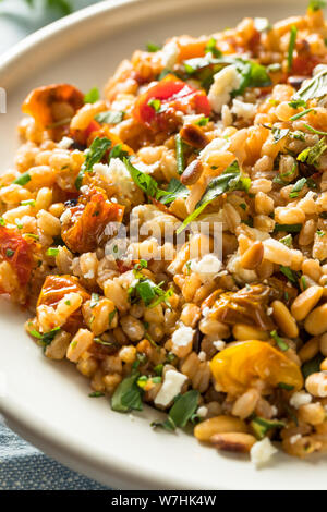 En bonne santé maison Salade de tomates aux herbes Farro Banque D'Images