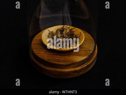 Gros plan d'insectes frits sur une soucoupe en bois dans un verre avec fond noir Banque D'Images