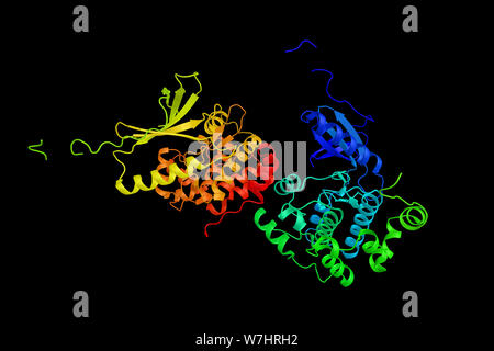 NIMA (jamais dans un gène de la mitose)-related kinase 1, seraient impliqués dans amytrophic la sclérose en plaques latérales. Le rendu 3d. Banque D'Images