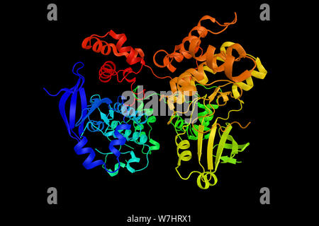 La protéine kinase activée par l'AMP, alpha, 1, une enzyme qui régit les activités d'un certain nombre d'enzymes métaboliques clés par phosphorylation. Rend 3d Banque D'Images