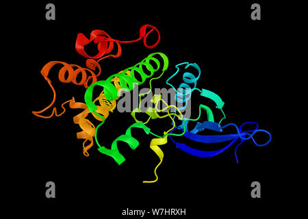 5'-AMP-activated protein kinase-2 alpha sous-unité catalytique, une énergie importante enzyme de télédétection qui surveille l'état de l'énergie cellulaire. Le rendu 3d. Banque D'Images