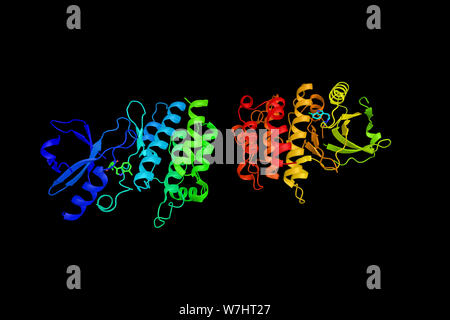 L'interaction récepteur-sérine/thréonine kinase 1-protéine, une enzyme connue pour avoir fonctionner dans une variété de voies cellulaires y compris le NF-kappaB pat Banque D'Images