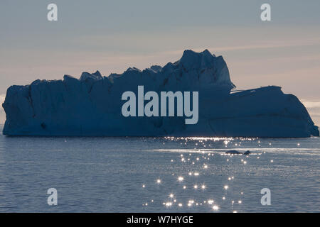 Des lumières éblouissantes de la danse sur les vagues peu profondes en face d'un énorme iceberg dans la baie autour du Groenland, Sydkap. Banque D'Images