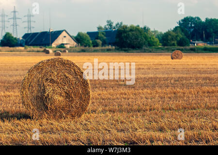 Une botte dans un rouleau libre et une ferme dans la distance. La forêt sur l'arrière-plan et les lignes électriques. L'arrière-plan est flou. Selective focus Banque D'Images