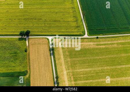 Vue aérienne, des chemins à travers champs récoltés et vert, paysage agricole, en Rhénanie du Nord-Westphalie, Allemagne Banque D'Images