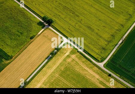 Vue aérienne, des chemins à travers champs récoltés et vert, paysage agricole, en Rhénanie du Nord-Westphalie, Allemagne Banque D'Images