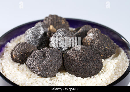 Truffes noires du riz sur un fond blanc. Banque D'Images