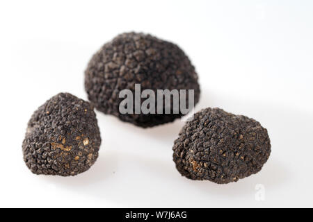 Truffes noires isolé sur un fond blanc. Banque D'Images