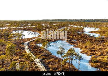 Sentier en bois en marécage à beau soleil du soir lumière à heure d'or et de couleur d'automne la flore de marais en hiver de Kemeri Grand Marais, vue aérienne Banque D'Images