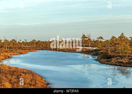 Marécage à la masse, sur glace givré bog lake et les pauvres la végétation du marais - températures de gel dans la région de Moor et l'automne de la flore de couleur au coucher du soleil Banque D'Images