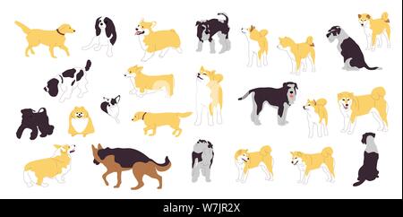 Jeu de chiens différents. Grande collection de chiens de races. Isolé sur fond blanc. Télévision cartoon style vector stock Illustration de Vecteur