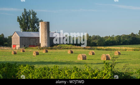 Dans le comté de Peterborough, Ontario, un beau matin lever du soleil image d'un champ les agriculteurs avec des balles de foin rondes et une vieille grange classique. Banque D'Images