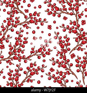 Holly Ilex européenne rouge transparente motif fruits vecteur. Scrapbooking Noël ou toile de conception avec des branches de fleurs. Vinter handdrawn illustration marqueur Illustration de Vecteur