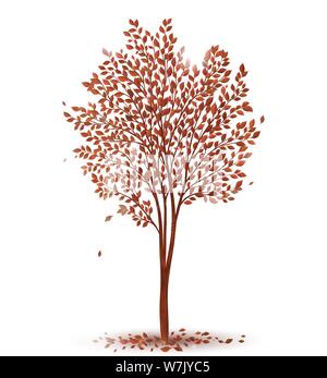 Arbre d'automne avec des feuilles sur fond blanc vector Illustration de Vecteur