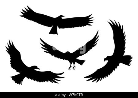 Silhouettes de flying eagles vector set prédateur d'oiseaux Illustration de Vecteur