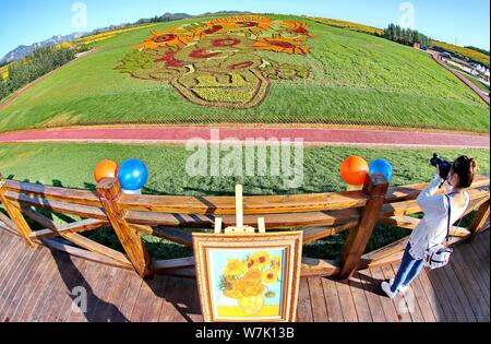 Vue aérienne de plantes colorées dans le motif de Vincent van Gogh's masterpiece 'Sunflowers de peinture' pendant la Seconde industrielle Tourisme Hebei Devel Banque D'Images