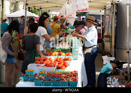 Un jeune adolescent Amish fait changer pour un client de derrière le comptoir de son stand à Fort Wayne's Farmers' Market. Banque D'Images