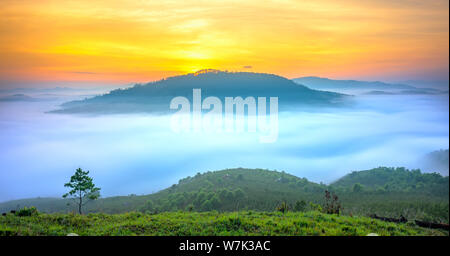 L'aube sur le plateau de la montagne couverte de brouillard dans la vallée de Da Lat, Viet Nam. Tous les créer une vue magnifique le matin de la belle nouvelle journée
