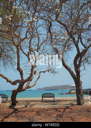 Parc au vieux palais Koh Si Chang Banque D'Images