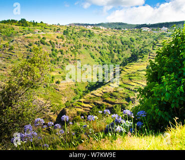 Vue dégagée sur la montagne unique des paysages dans les terrasses à Madère, Portugal, Europe Banque D'Images