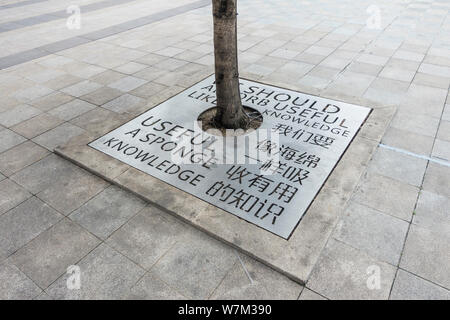 Un arbre décoré avec couvercle fosse motivational quotes sur la lecture est vue dans la ville de Chengdu, dans le sud-ouest de la province chinoise du Sichuan, le 29 août 2017. Tree Banque D'Images