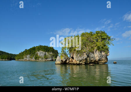 Îlots de formation calcaire, du parc national Los Haitises, Samana¡ Province, République dominicaine, Espanola et d'Hispaniola, dans la mer des Caraïbes, janvier 2012. Banque D'Images