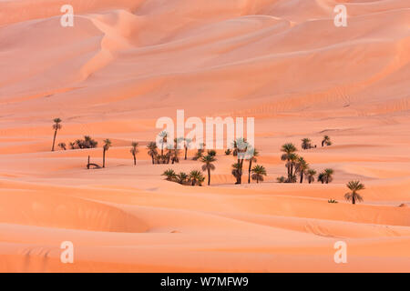 Um El Ma oasis de palmiers et de dunes de sable, désert de Libye, Maroc, Sahara, Afrique du Nord, Décembre 2007 Banque D'Images