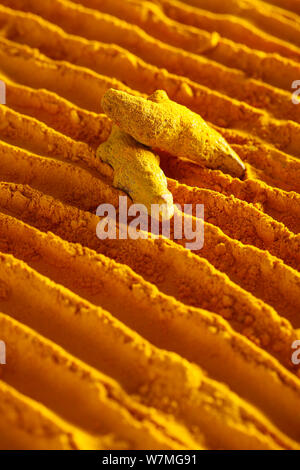 Turmeric roots on turmeric powder pattern Stock Photo