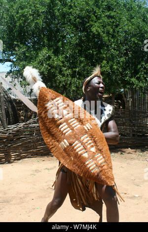 Guerrier Zoulou traditionnel au Village Culturel zoulou de Shakaland, Eshowe, Kwazulu Natal, Afrique du Sud Banque D'Images