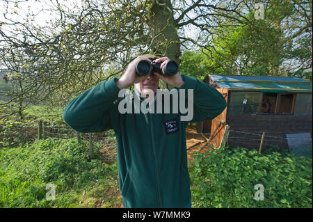 Gardiennage et surveillance volontaire des nids de balbuzards à Rutland Water. Royaume-uni, mai. Banque D'Images