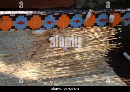 Instrument traditionnel Zulu que femme utilise pour tisser des tapis d'herbe sur l'affichage à Lesedi Cultural Village, berceau de l'humanité, l'Afrique du Sud Banque D'Images