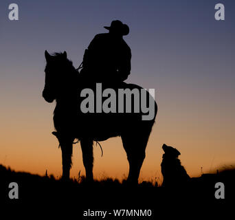 D'ossature à l'aube de Cowboy, cheval et chien, Wyoming, USA, février 2012, parution du modèle Banque D'Images