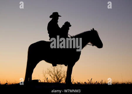 D'ossature à l'aube de Cowboy avec chien riding horse, Wyoming, USA, février 2012, parution du modèle Banque D'Images
