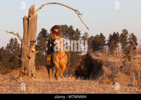 Cowboy à cheval dans le paysage, Wyoming, USA, février 2012, parution du modèle Banque D'Images