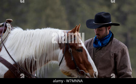 Cowboy et cheval, Wyoming, USA, février 2012, parution du modèle Banque D'Images