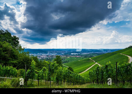 L'Allemagne, plus de nuages orageux dangereux ville de Stuttgart derrière vignoble verdoyant nature paysage de montagne en été kappelberg Banque D'Images