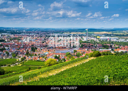 L'Allemagne, les maisons de ville fellbach près de Stuttgart à partir de au-dessus de vignes vertes en été Banque D'Images