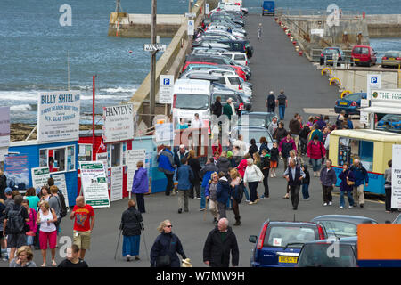 Les touristes en voyage en bateau pour visiter les refuges à Seahouses Harbour, Northumberland, juillet 2011. Banque D'Images