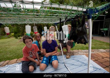 Tolga Bat bénévole de l'hôpital les enfants jouent et l'alimentation des chauves souris. Banque D'Images