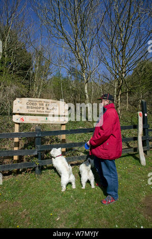 Visiteur avec chien à la recherche lors de l'inscription des évêques locaux Bois Nature Reserve, Murton, Swansea, Wales, UK 2009 Banque D'Images