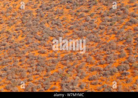 Vue aérienne de terres de savane dans la saison sèche et de la vallée du Rift, en Tanzanie, Août 2009 Banque D'Images